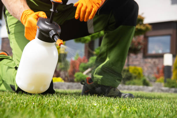 Wildlife Control Services in Lyndon, KY